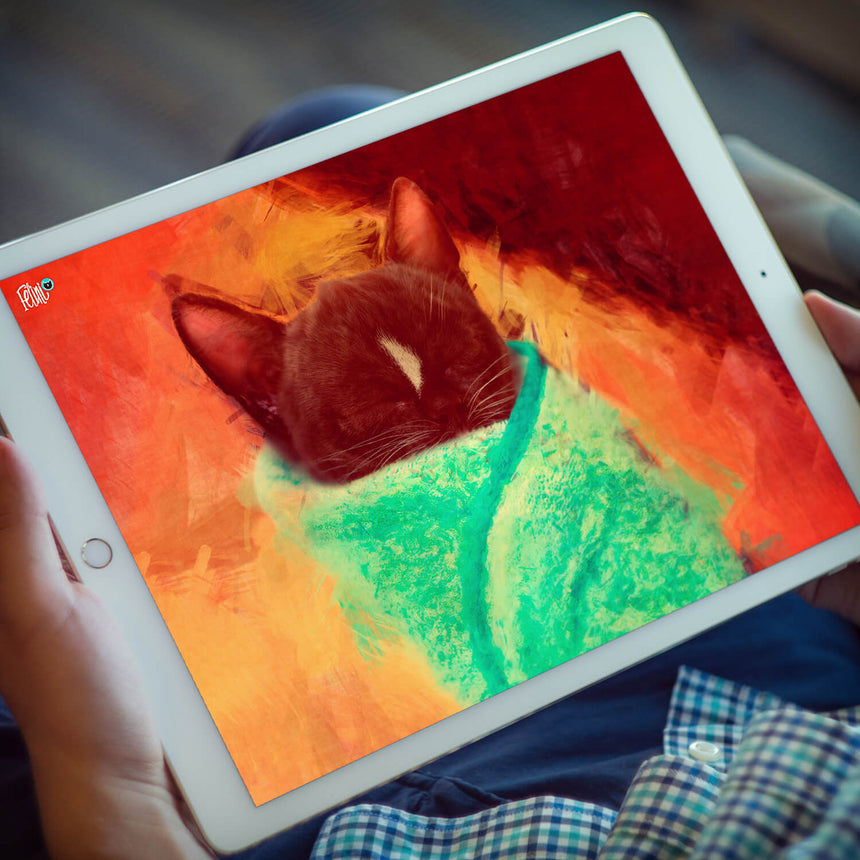 Felini the Kitty Cat Cute Purrito image on white IPad tablet on lap of man