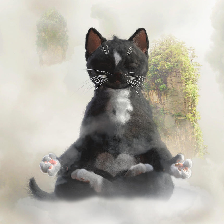 Felini cat meditating zen kitty on cloud between floating islands in the sky