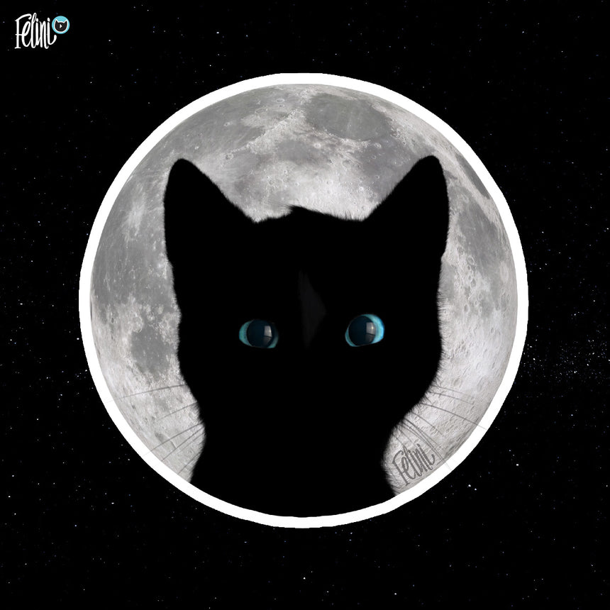 Free Felini Cat Wallpaper - Kitty Head Silhouette in front of Moon
