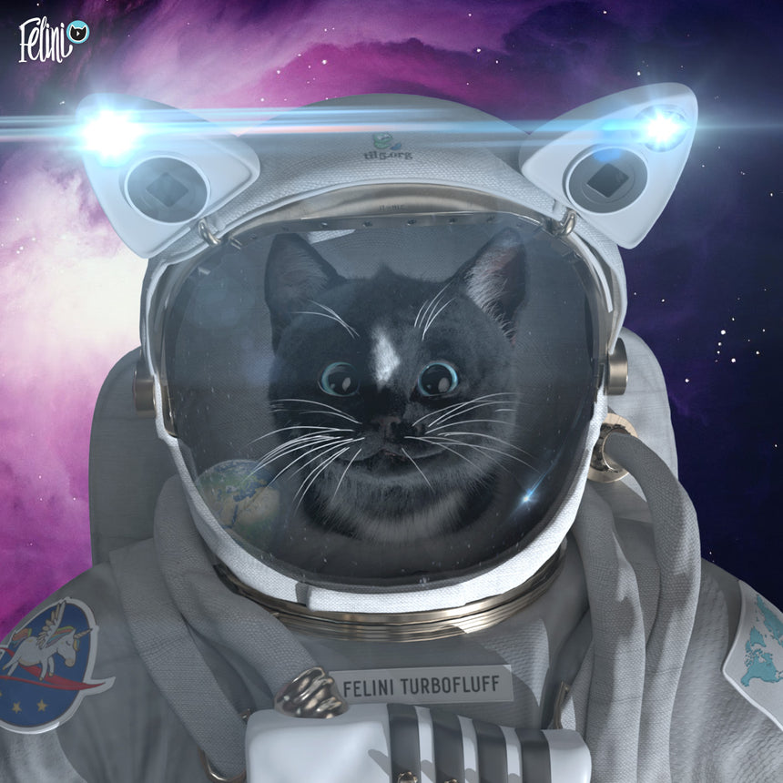 Free Felini Cat Wallpaper - Space Cat in Spacesuit Felini Turbofluff