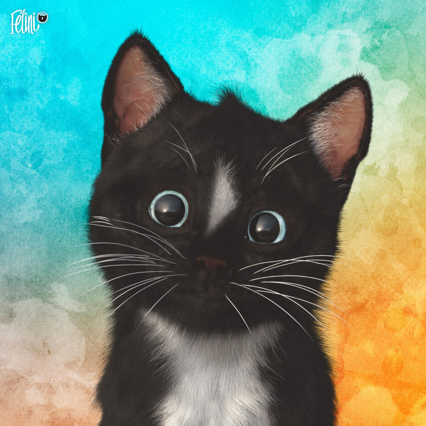 Free Felini Cat Wallpaper - Cute Kitty Head Tilt